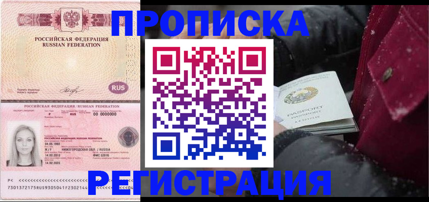 прописка для школы в Шали